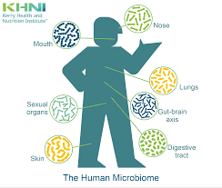the human microbiome beyond digestive