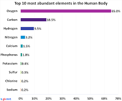 most abundant elements in the human body