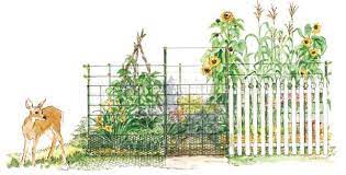 choose the best garden fence mother