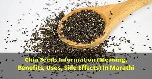 Chia Seeds Information Meaning Uses Benefits Side Effects In Marathi gambar png