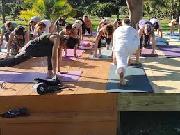 top 10 300 hour yoga teacher training