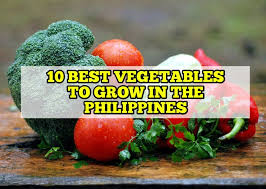 10 Best Vegetables To Grow In The
