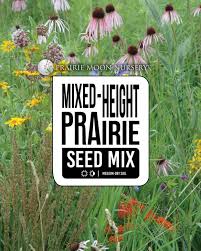 Mixed Height Prairie Seed Mix Prairie