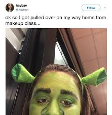 pulled over while dressed as shrek