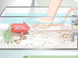 How To Lower Ammonia Levels In A Fish Tank If They Are Not