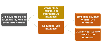 Universal life insurance is really a term insurance policy with a savings component attached to it. An Outline Of The Various Types Of Life Insurance Policies Financial Independence Hub