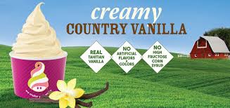 creamy country vanilla frozen yogurt