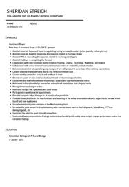 Company Resume Examples  General Manager Resume Sample Page      