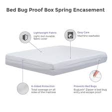 bed 2 pc buglock bed bug mattress