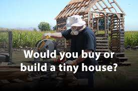 would you build or a tiny house