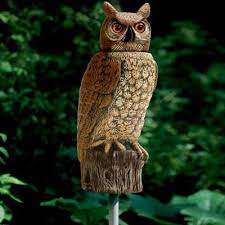 Dalen Bird Scare Realistic Owl With