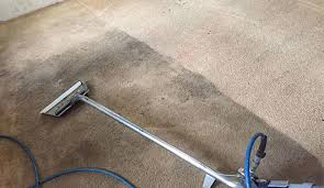 carpet bacteria mold removal in