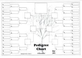 5 Generation Ancestor Chart Pedigree Template Family Tree