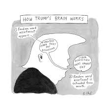 How Trumps Brain Works Chart Explaining The Function Of Trumps Brain New Yorker Cartoon