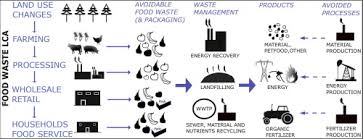 Environmental Impacts Of Food Waste Learnings And
