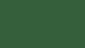 what-is-the-color-of-hunter-green
