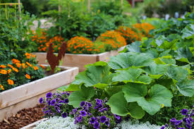 small e vegetable gardening tips