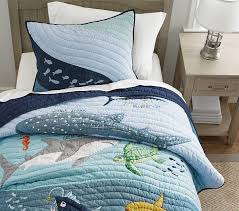 Our Seas Quilt Shams Pottery Barn Kids