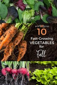 Plant These Sdy Fall Vegetables For