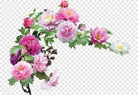 flower garden roses hortensia
