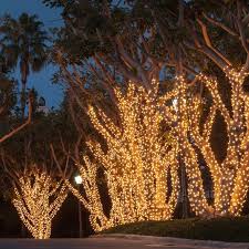 Lights Outdoor Trees