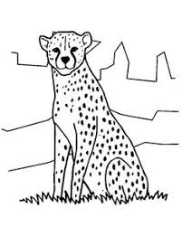 Wild wild quest kaneko multi systems 1993. 25 Cheetah Coloring Pages Ideas Coloring Pages Cheetah Coloring Pictures