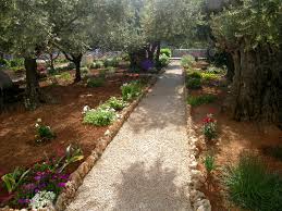 garden of gethsemane