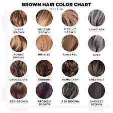 the ultimate brown hair color chart