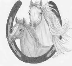 Image result for horse and foal drawings in pencil