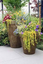 tricks for beautiful garden containers