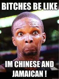 Funniest Memes Of 2015: Chicks be like I&#39;m chinese and Jamaican via Relatably.com