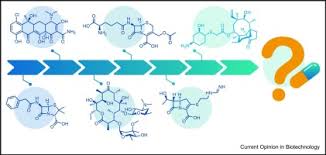 natural s in antibiotic