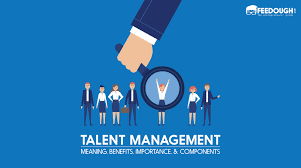 talent management definition