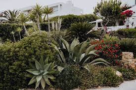 Landscaping Ideas For Hot Climates To