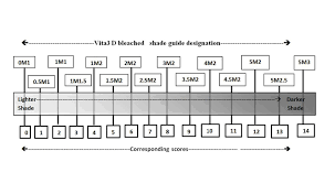 Noritake Shade Guide Conversion Chart