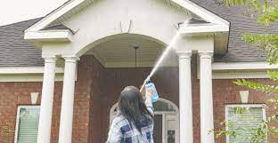 Clean Brick Stucco With Wet Forget