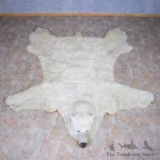 polar bear taxidermy rug mount