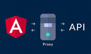 using angular proxy
