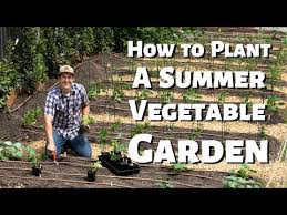 How To Plant A Vegetable Garden You