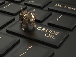 crude oil futures: Crude oil prices up on global cues - The Economic Times