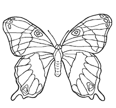 En lugar de tener formas y tamaños completamente aleatorios por todo el organismo, la simetría radial organiza la forma y tamaño en torno a un punto de eje central, de forma muy similar a la simetría de una tarta circular. Mariposa Colorear Mariposa Dibujos Simetricos Novocom Top