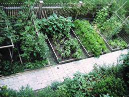 home vegetable garden design ideas