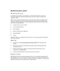 30 Professional Marketing Plan Templates Template Lab