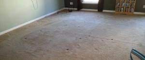 carpet repairs in phoenixville pa