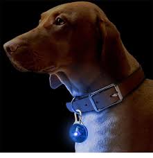 Waterproof Flashing Light Up Pet Pendant Led Dog Tag Latest Electronic Products Electronics Online Shop From Inkophappy 0 41 Dhgate Com