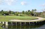 Eagle/Osprey at Okeeheelee Golf Course in West Palm Beach, Florida ...