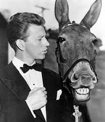82 Incredible FRANCIS THE TALKING MULE ideas | donald o'connor, donald,  movie stars