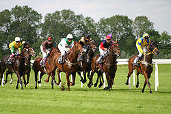 paris sur les courses de chevaux internationales
