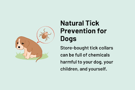 preventing repelling ticks on dogs