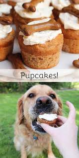 Most dogs simply lazily stretch up in the morning, lick you out of your bed and play, nap, eat and get loved by their humans. Easy Pupcakes Jane S Patisserie